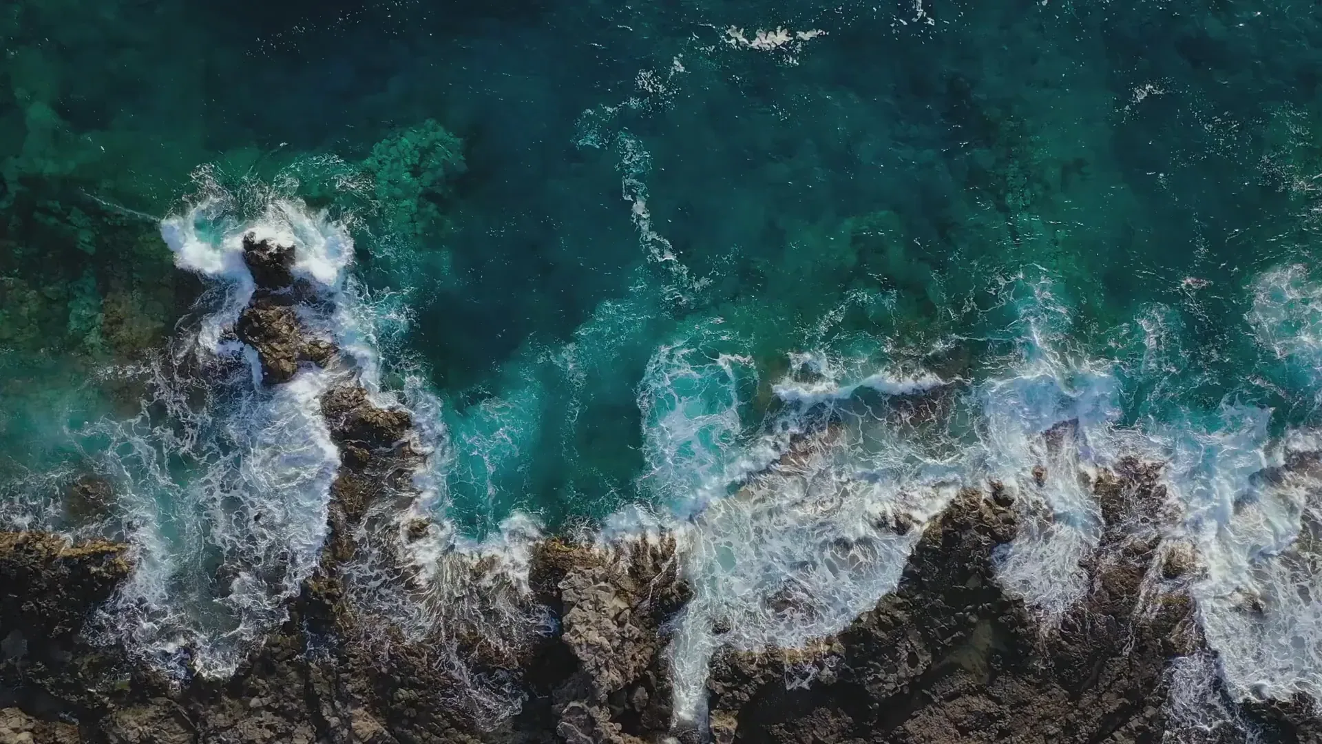 Aruba Ocean